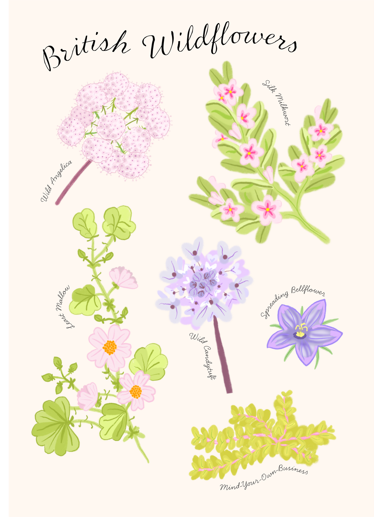 Wildflower Illustration