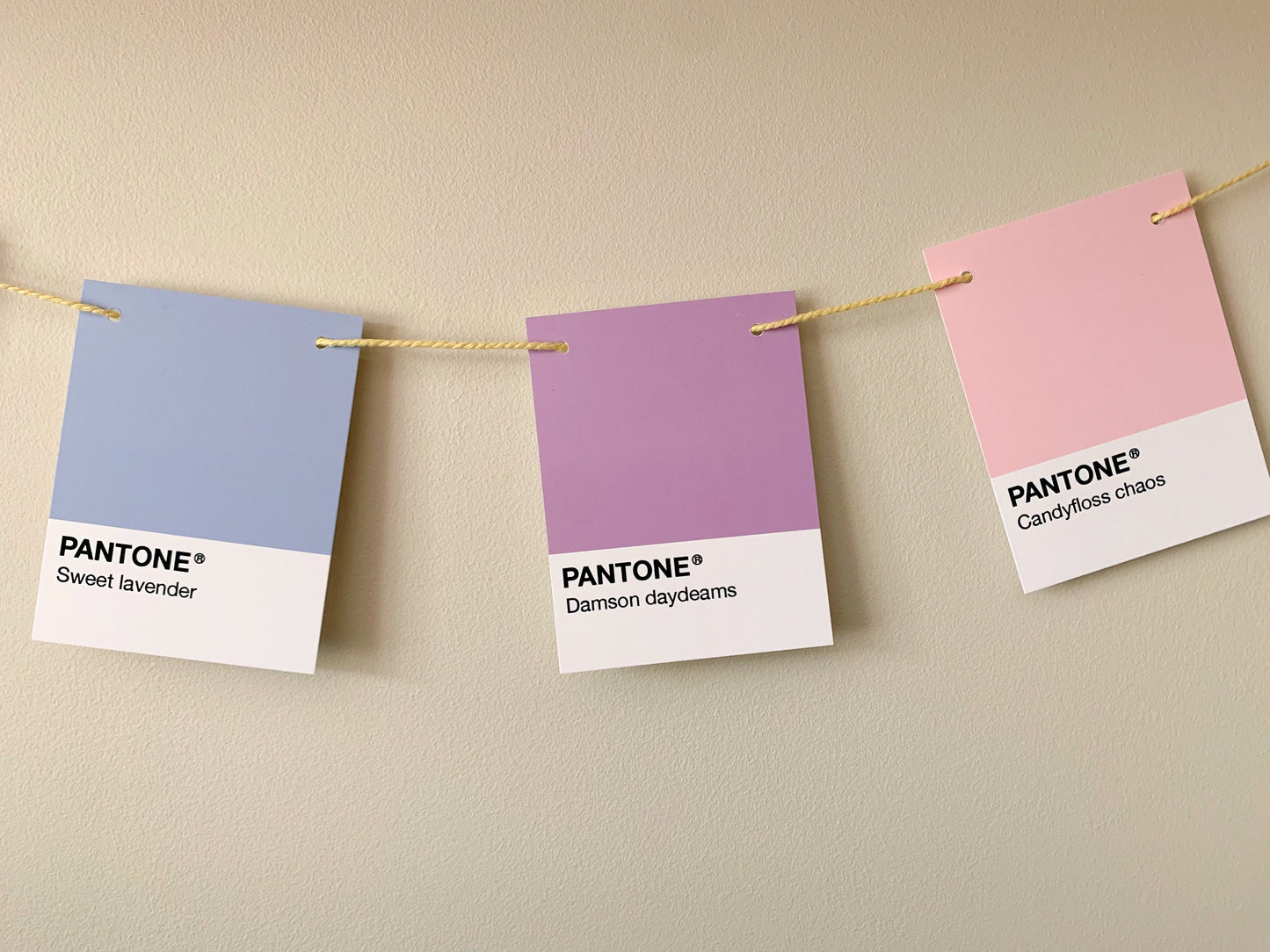 Pantone style garland - rainbow garland - colourful swatch paper garland - paper garland - paper garland wedding - paper garland decorations